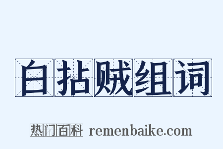 白拈贼组词是什么意思的图片